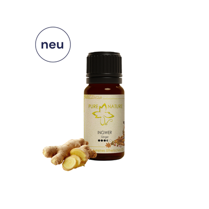 Pure Nature Oil Ätherisches Öl Ingwer