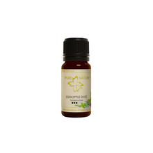 Pure Nature Oil Ätherisches Öl Eukalyptus dives