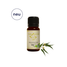Pure Nature Oil Ätherisches Öl Eukalyptus dives