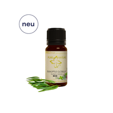 Pure Nature Oil Ätherisches Öl Eukalyptus globulus