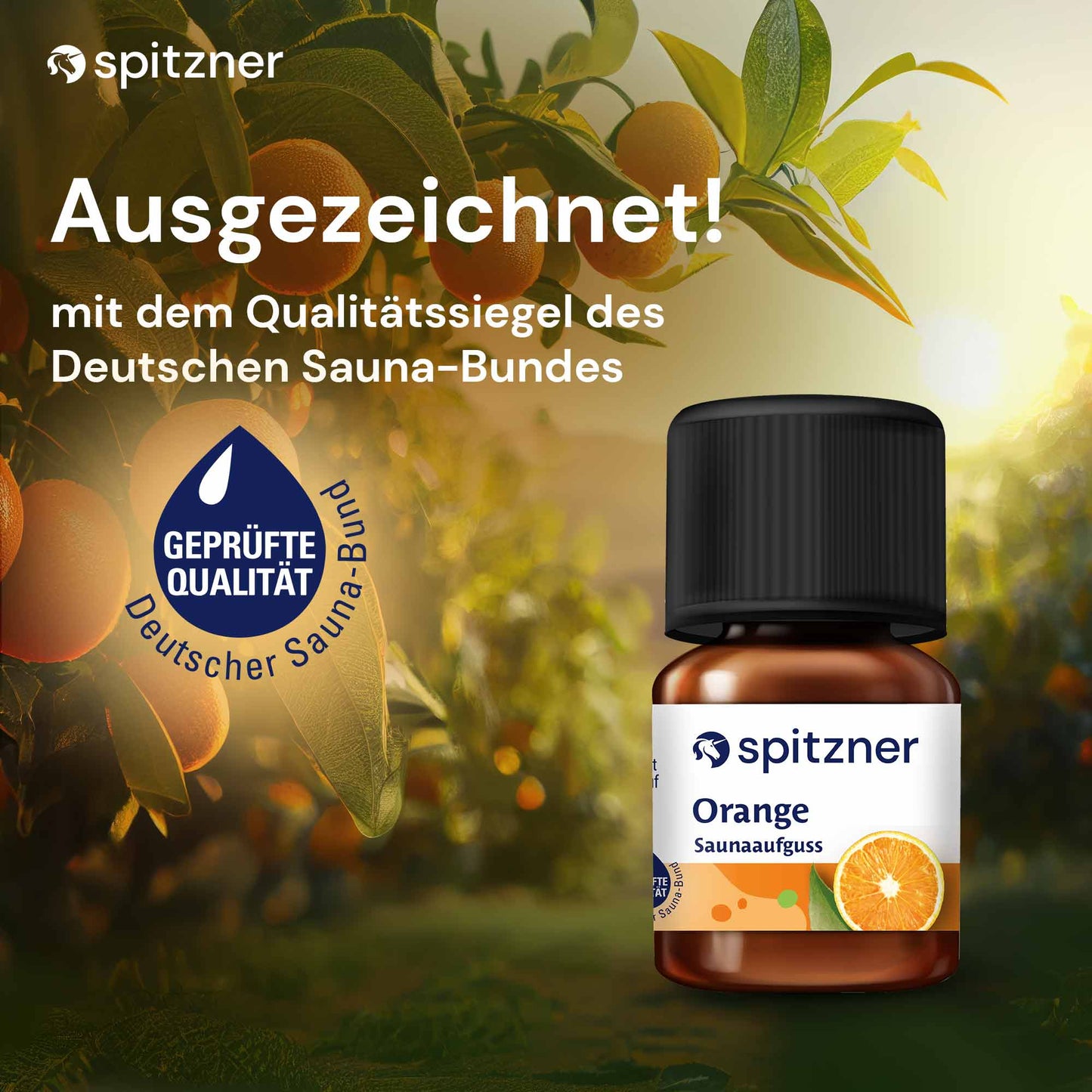 Sinnesreise Sauna-Set 6x30ml