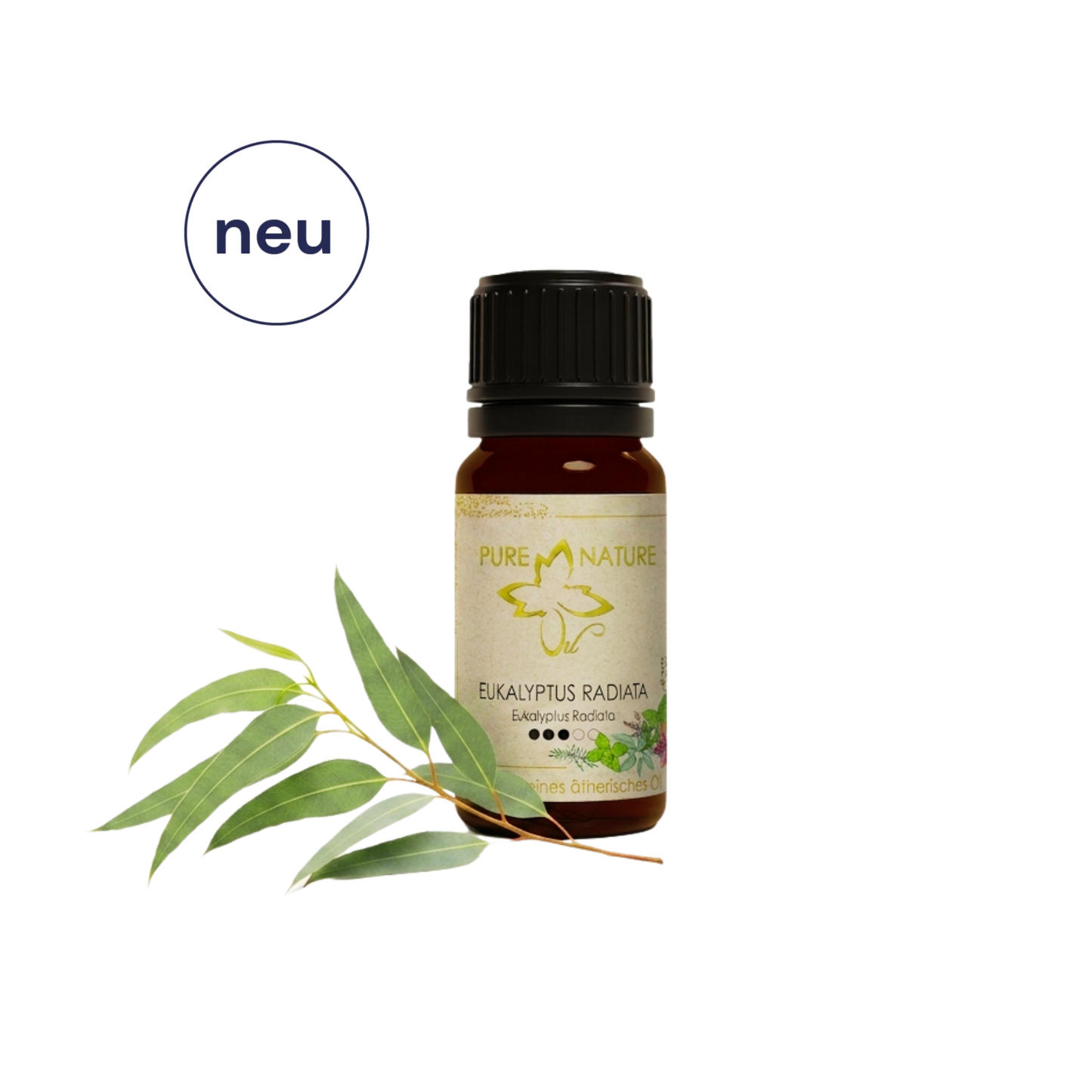Pure Nature Oil Ätherisches Öl Eukalyptus radiata