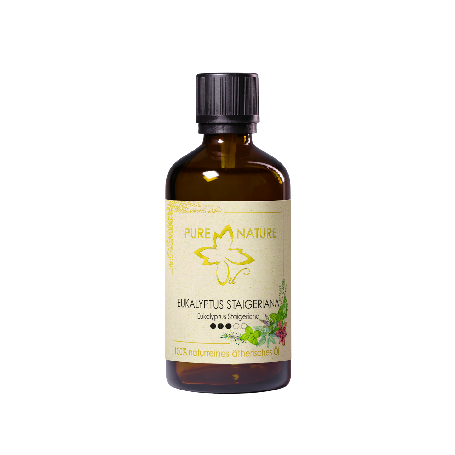 Pure Nature Oil Ätherisches Öl Eukalyptus staigeriana