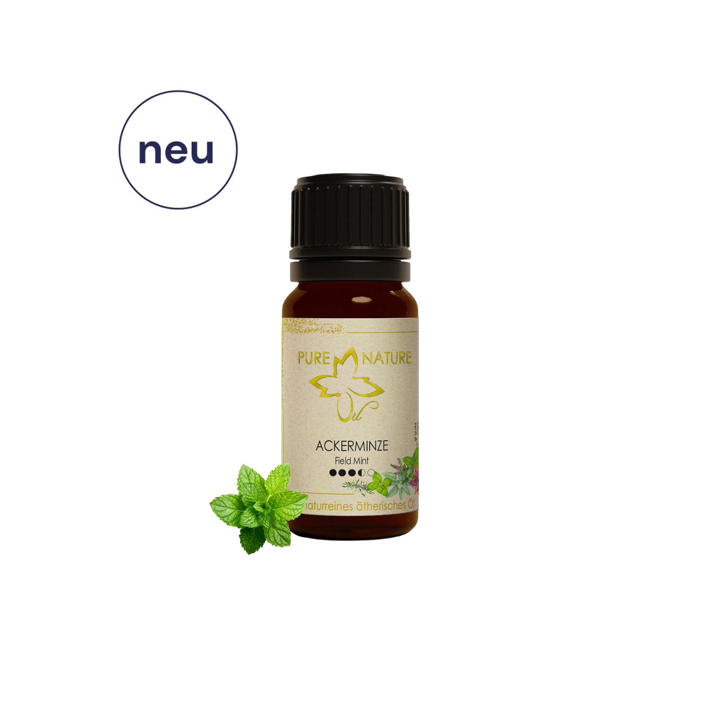 Pure Nature Oil Ätherisches Öl Ackerminze
