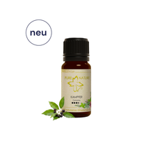 Pure Nature Oil Ätherisches Öl Kampfer