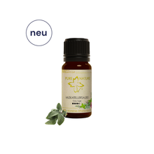 Pure Nature Oil Ätherisches Öl Muskatellersalbei