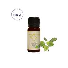 Pure Nature Oil Ätherisches Öl Ravintsara
