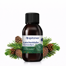 Saunaaufguss Latschenkiefer