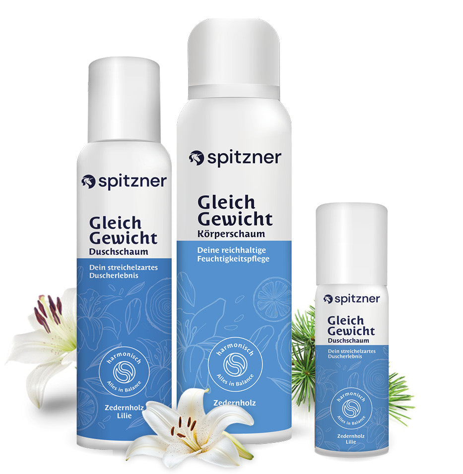 Bundle SchaumMomente GleichGewicht