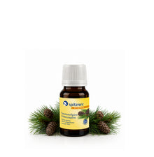 Saunaaufguss Zirbenzapfen 30 ml Probiergröße