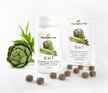 Phytopharma 6 in 1 Tabletten