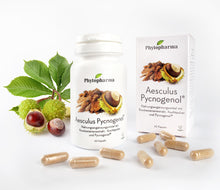 Phytopharma Aesculus Pycnogenol Kapseln