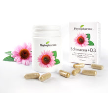 Phytopharma Echinacea + D3 Kapseln